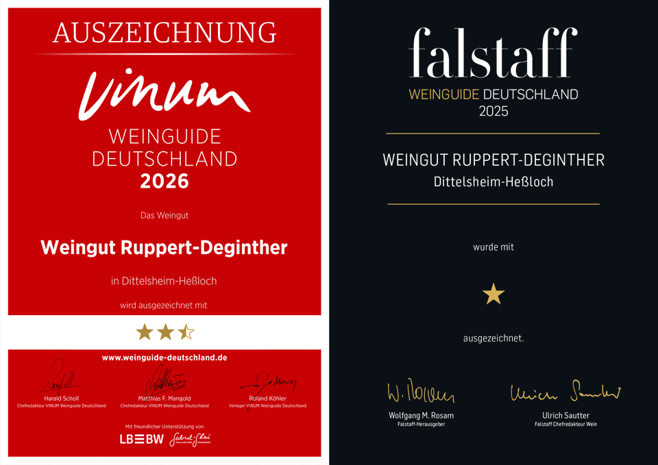 Exemplarische Auszeichnungen für das Weingut Ruppert-Deginther von Vinum 2026 und Falstaff 2025